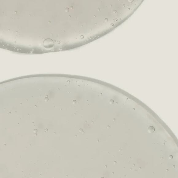 Twentynine Palms Pinyon Poet Body Wash Bay Laurel Jojoba Marjoram NEW IN BOX - Picture 2 of 4